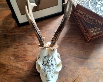 あ*の様 archive Roen scull design real leat Real Roe Deer Skull Art With Engraved Design Rune Algiz