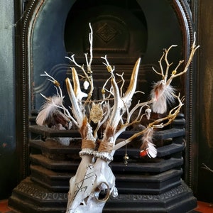 Freya's Whispers - Real Roe Deer Skull Viking Inspired image 7