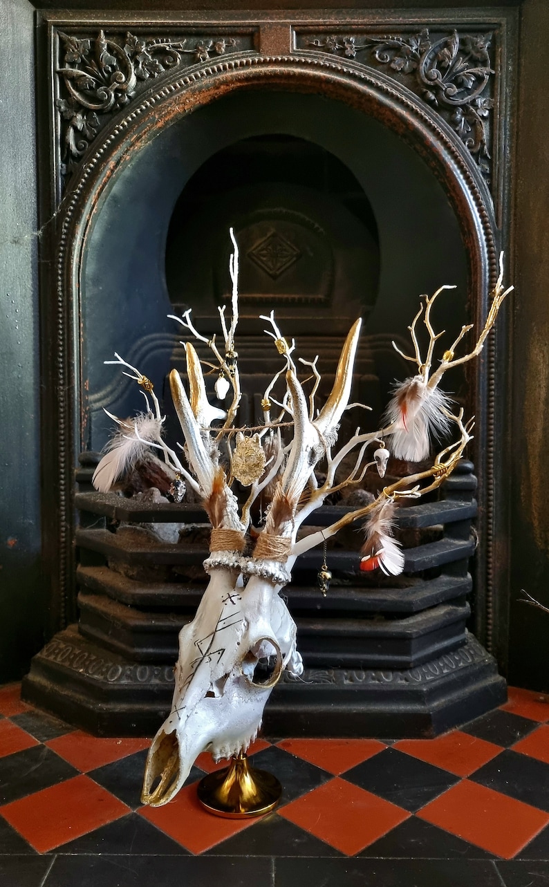 Freya's Whispers - Real Roe Deer Skull Viking Inspired image 7