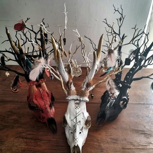 Freya's Whispers - Real Roe Deer Skull Viking Inspired image 8