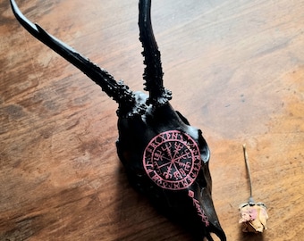 Cráneo de corzo pintado a mano: brújula vikinga Vegvisir, arte nórdico
