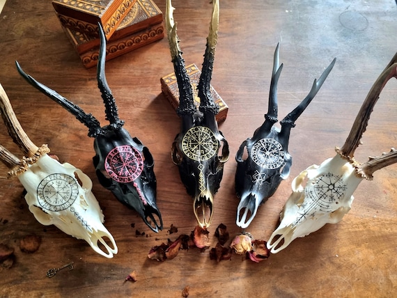 Hand Painted Roe Deer Skull: Viking Compass, Nordic Runes - Etsy