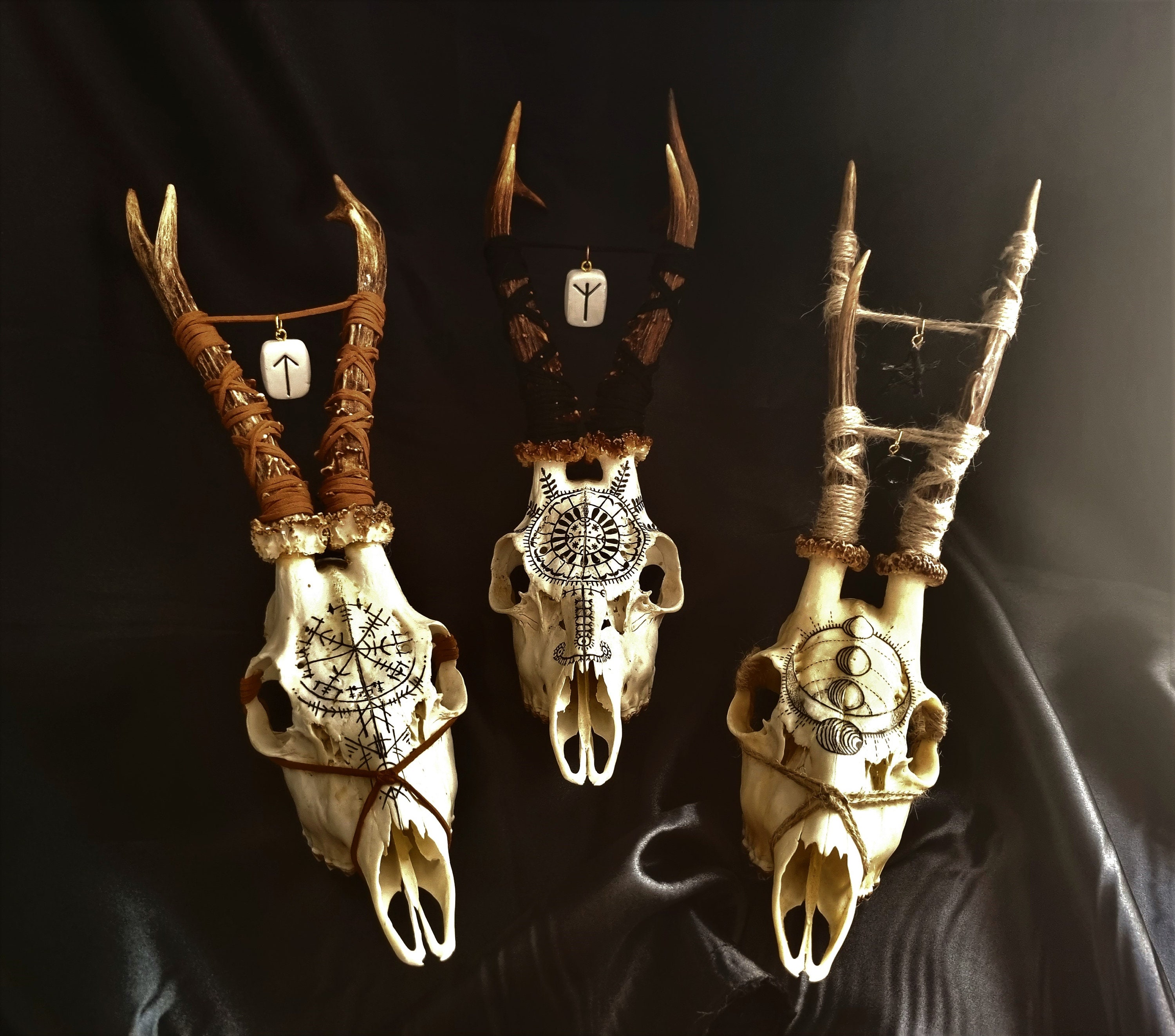 Real Roe Deer Skull Hand Painted Moon Phases Pagan Collection Taxidermy ...