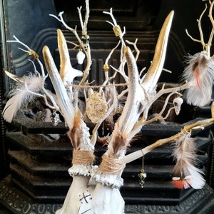 Freya's Whispers - Real Roe Deer Skull Viking Inspired image 5