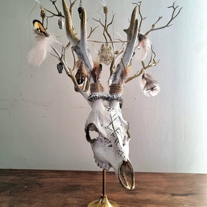 Freya's Whispers - Real Roe Deer Skull Viking Inspired image 1