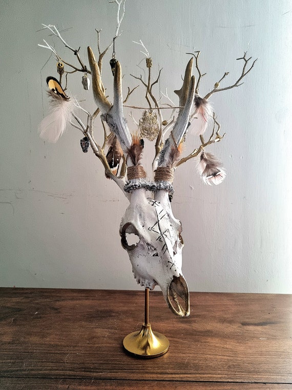 Freya's Whispers - Real Roe Deer Skull Viking Inspired
