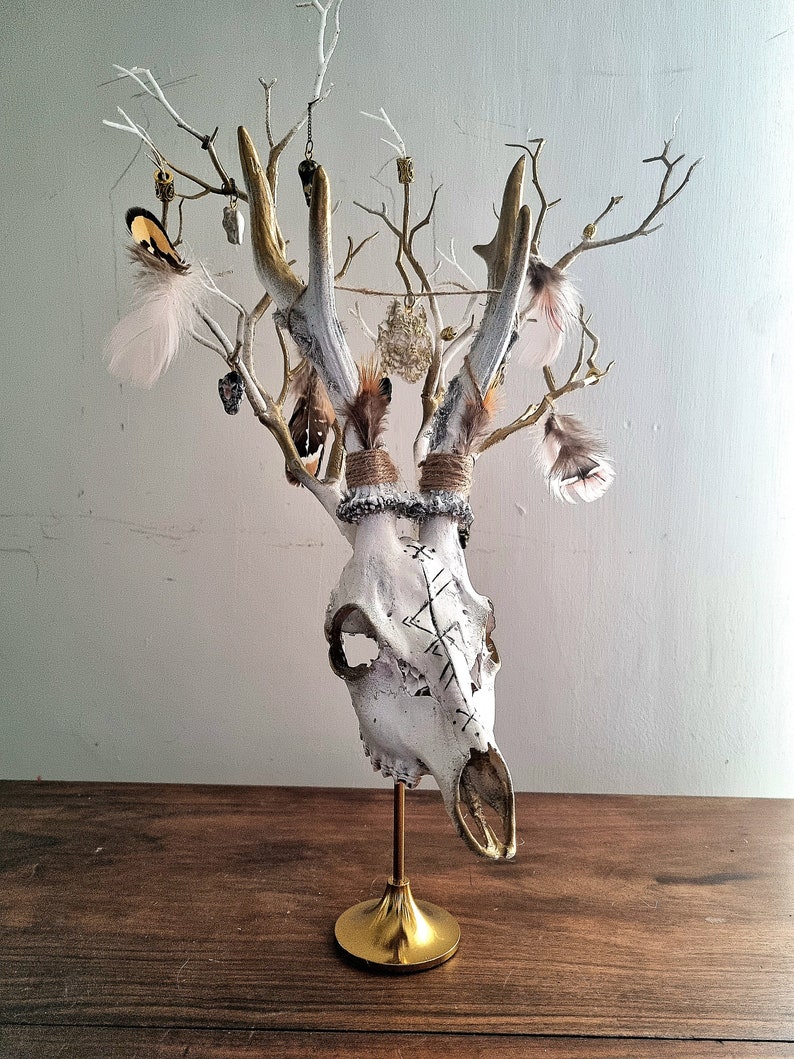 Freya's Whispers - Real Roe Deer Skull Viking Inspired image 1