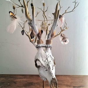 Freya's Whispers - Real Roe Deer Skull Viking Inspired image 2
