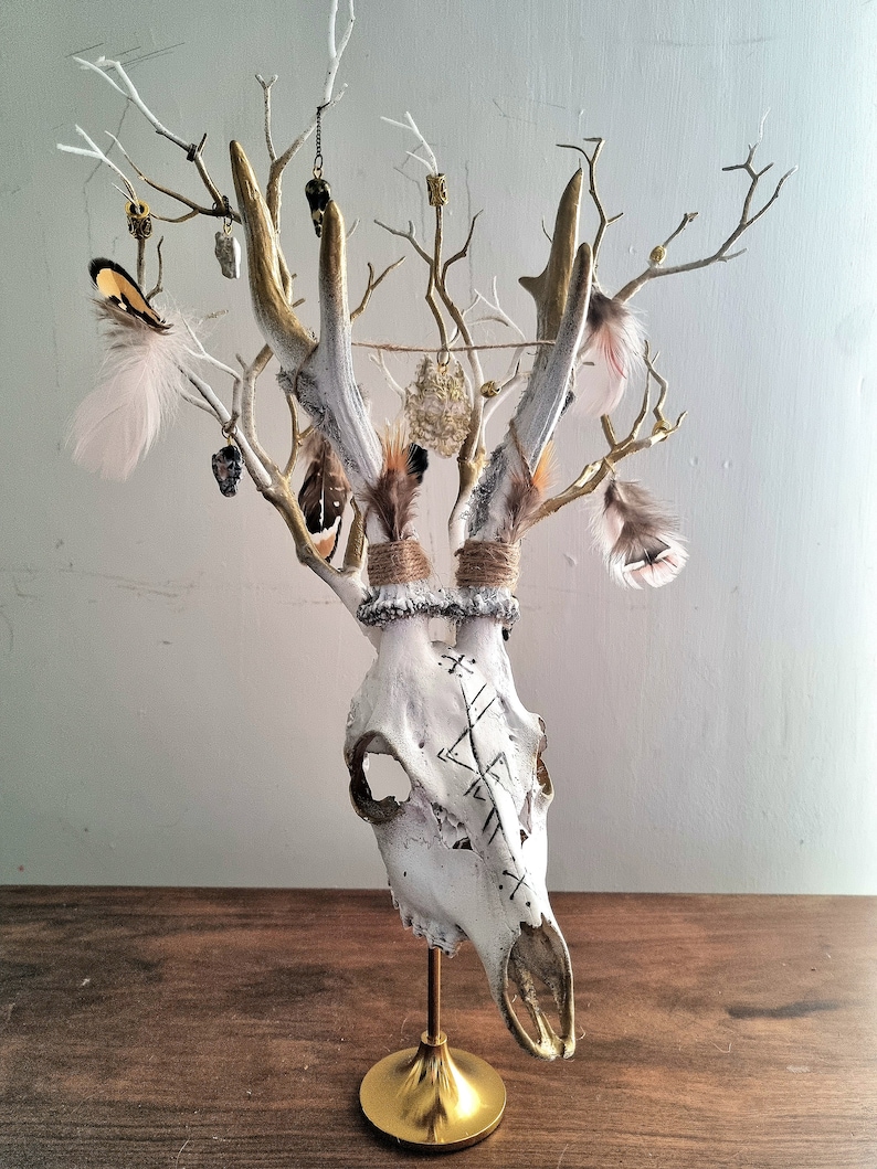 Freya's Whispers - Real Roe Deer Skull Viking Inspired image 2