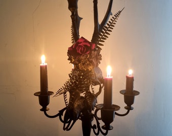 Real Roe Deer Skull Candelabra for Gothic Interiors, Wedding