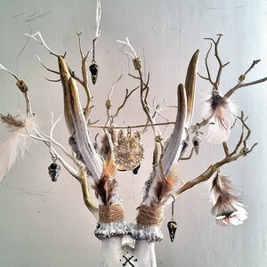Freya's Whispers - Real Roe Deer Skull Viking Inspired image 4