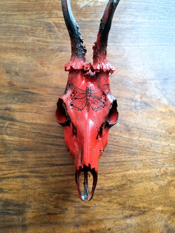 Real Roe Deer Skull With Antlers Hand Painted Hawk Moth Insect Drawing  Nature Painting Boho Style Taxidermy Art - Etsy