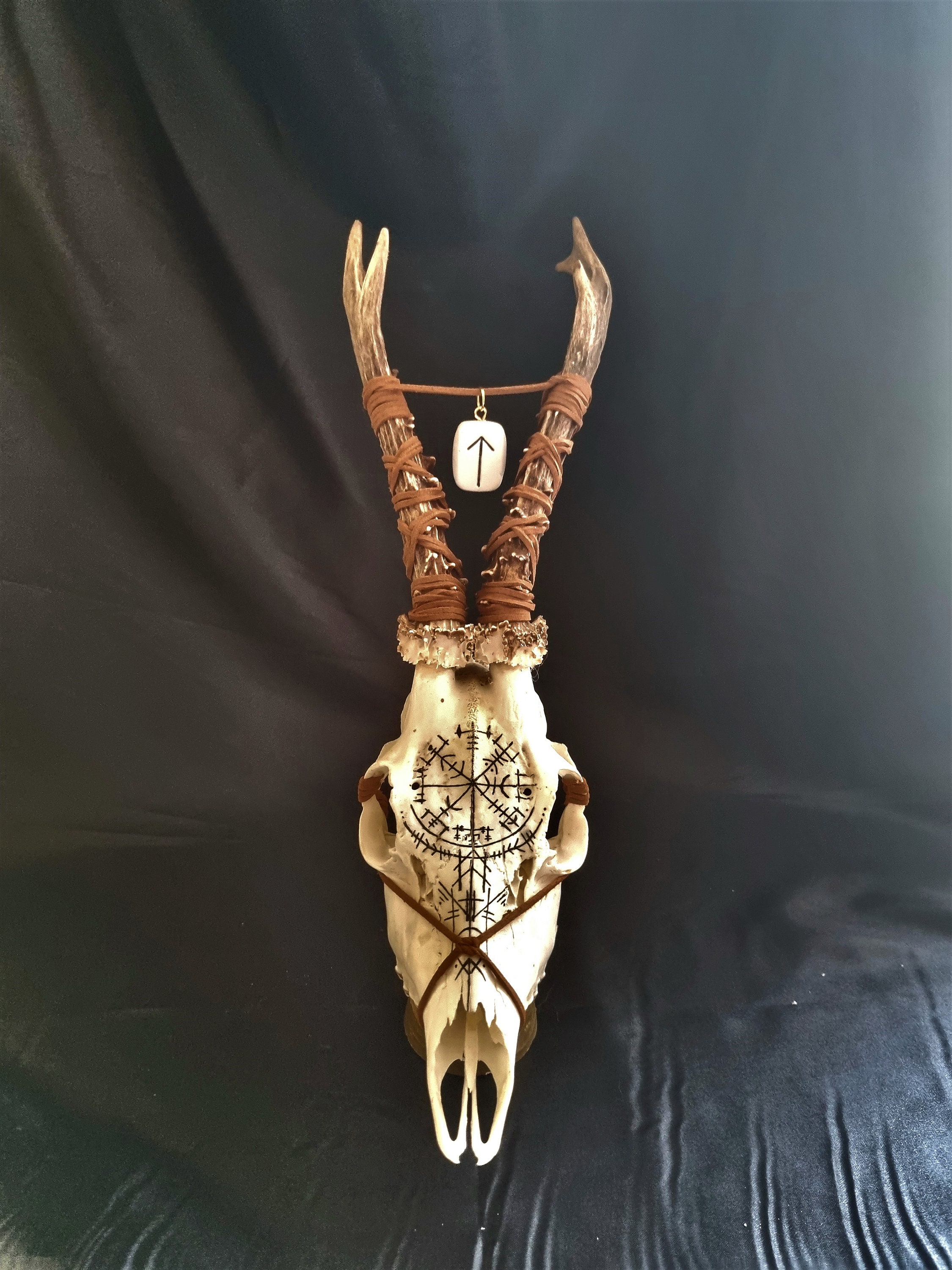 Real Roe Deer Skull Hand Painted Traditional Nordic Pagan Symbols ...