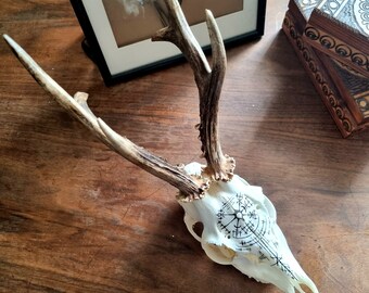 あ*の様 archive Roen scull design real leat Real Roe Deer Skull With Antlers Hand Painted Viking Compass