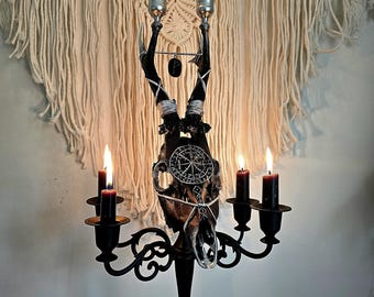 Real Roe Deer Skull Candle Holder Viking Compass Path Finder Pagan