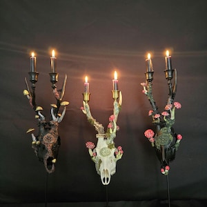 本物のノロジカの頭蓋骨キャンドルホルダー（キノコ付き） - 手作りの魔法の森の装飾 - ゴススタイルのユニークな頭蓋骨アート、北欧のパスファインダー