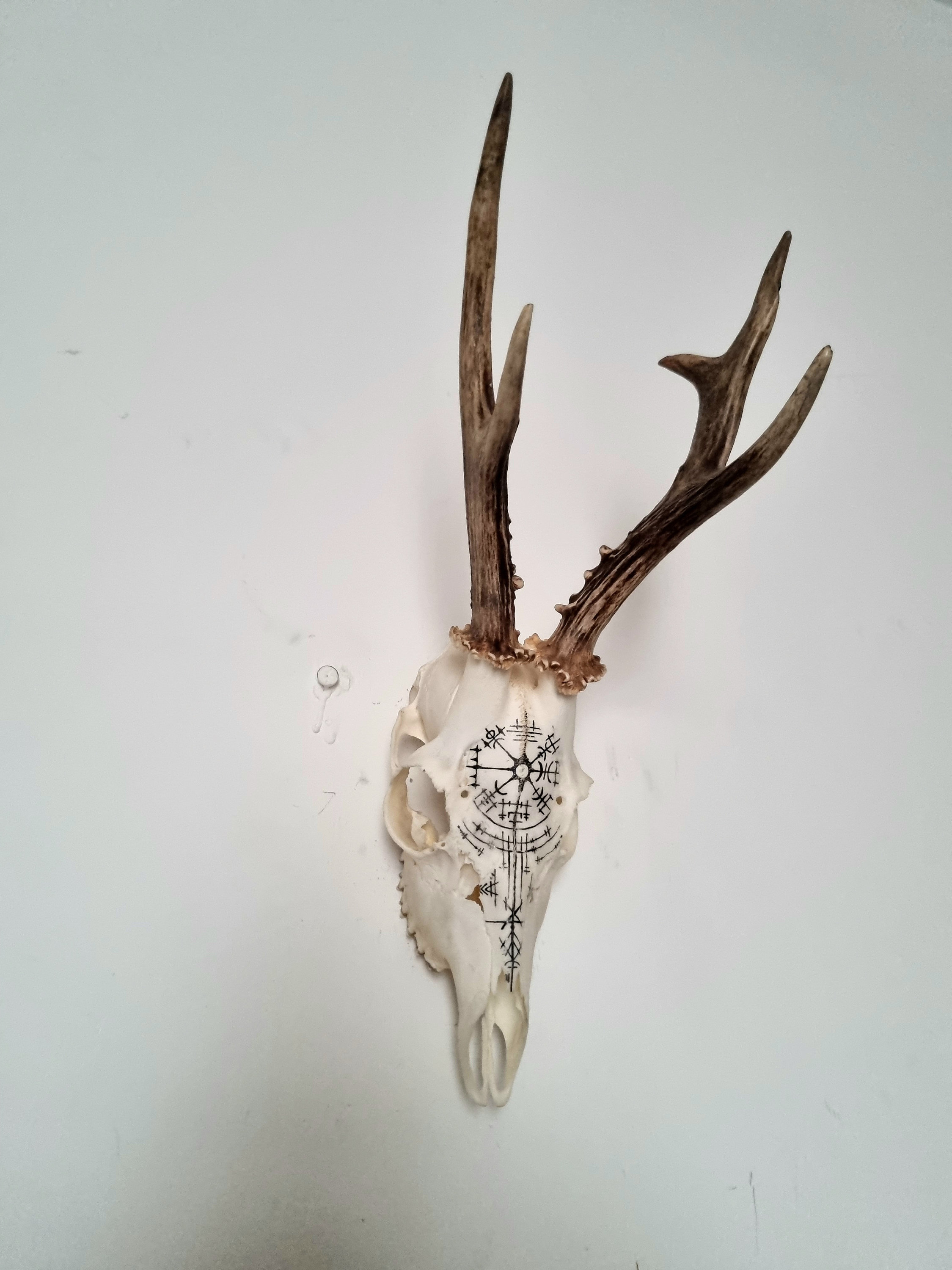 あ*の様 archive Roen scull design real leat il_fullxfull.4260984251_2wc7.jpg