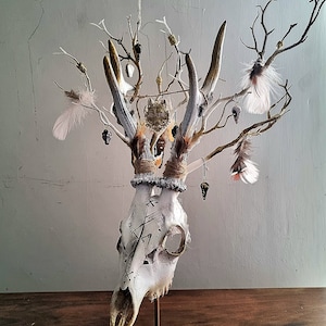Freya's Whispers - Real Roe Deer Skull Viking Inspired image 3