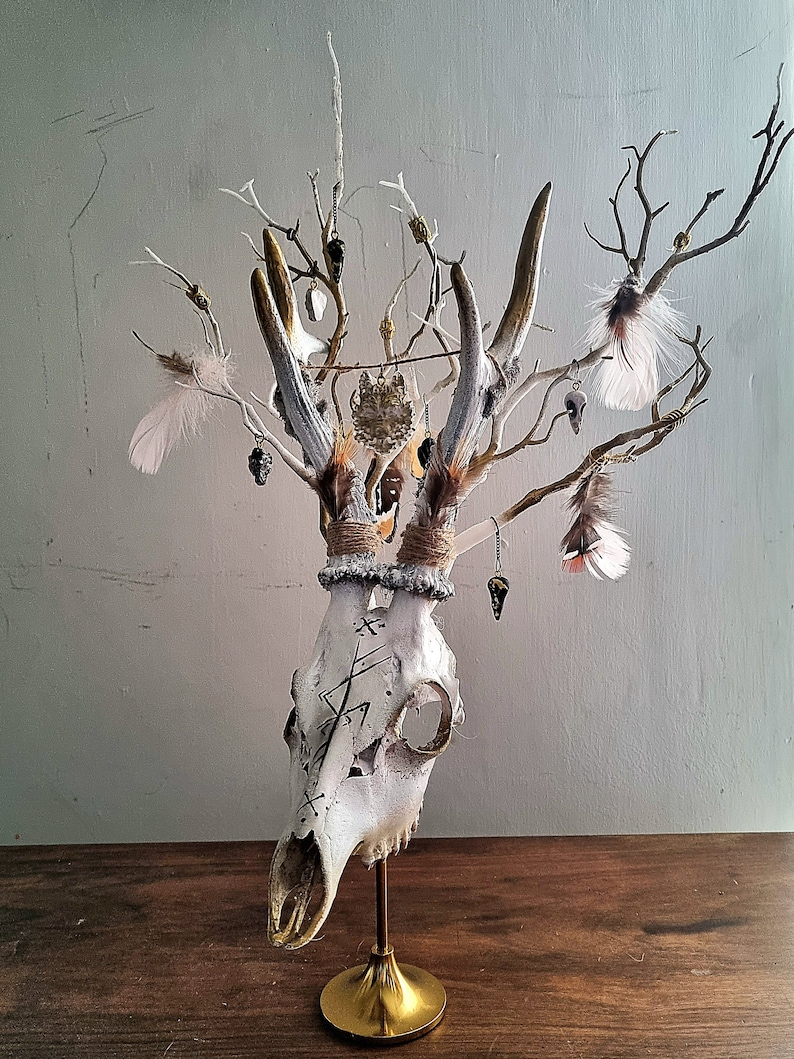 Freya's Whispers - Real Roe Deer Skull Viking Inspired image 3