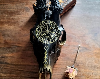 Cráneo de corzo pintado a mano: Brújula vikinga Vegvisir Arte nórdico