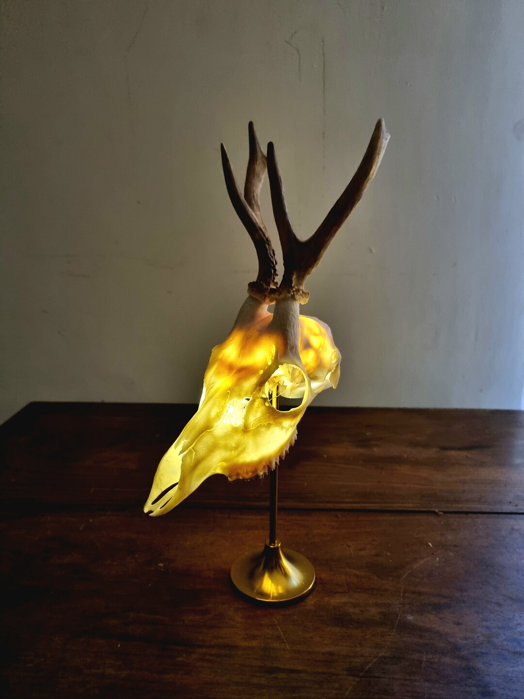 Lampe Trophée Chevreuil - Décoration Table Bureau - Fait Main