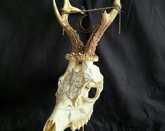 Roe Deer Skull Candle Holder: Moth & Moon Pagan Altar Decor