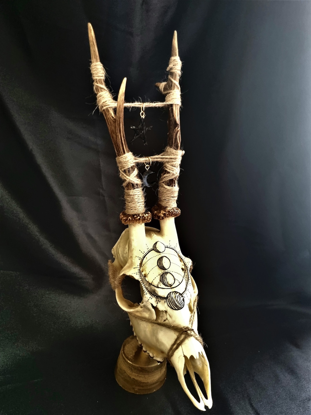 Real Roe Deer Skull Hand Painted Moon Phases Pagan Collection Taxidermy ...