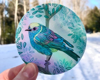 May include: A round sticker featuring a colorful bird perched on a branch. The bird has blue, teal, purple, and yellow feathers. The background is a soft blend of colors with a tree and leaves.