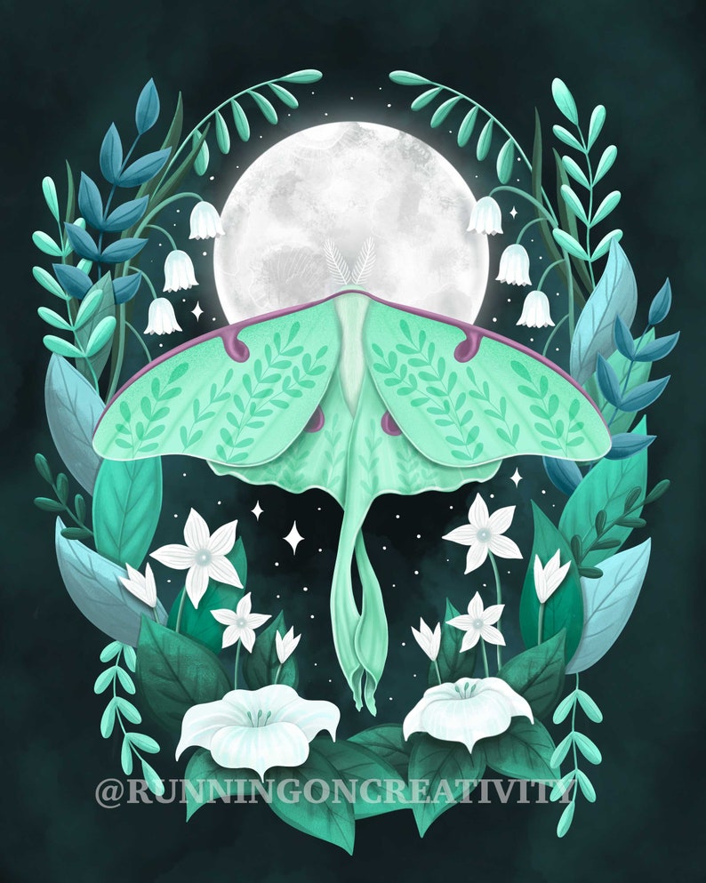 Luna Moth Illustration Art Print Luna Moth Wall Art - Etsy
