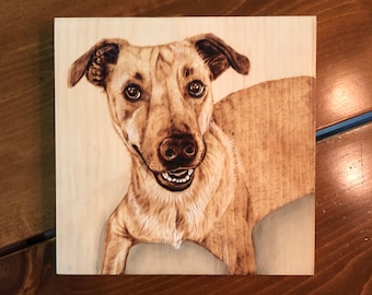 Custom pet portrait, wood burned pet portrait, pet portrait, pet memorial wood burning, custom art, pyrography