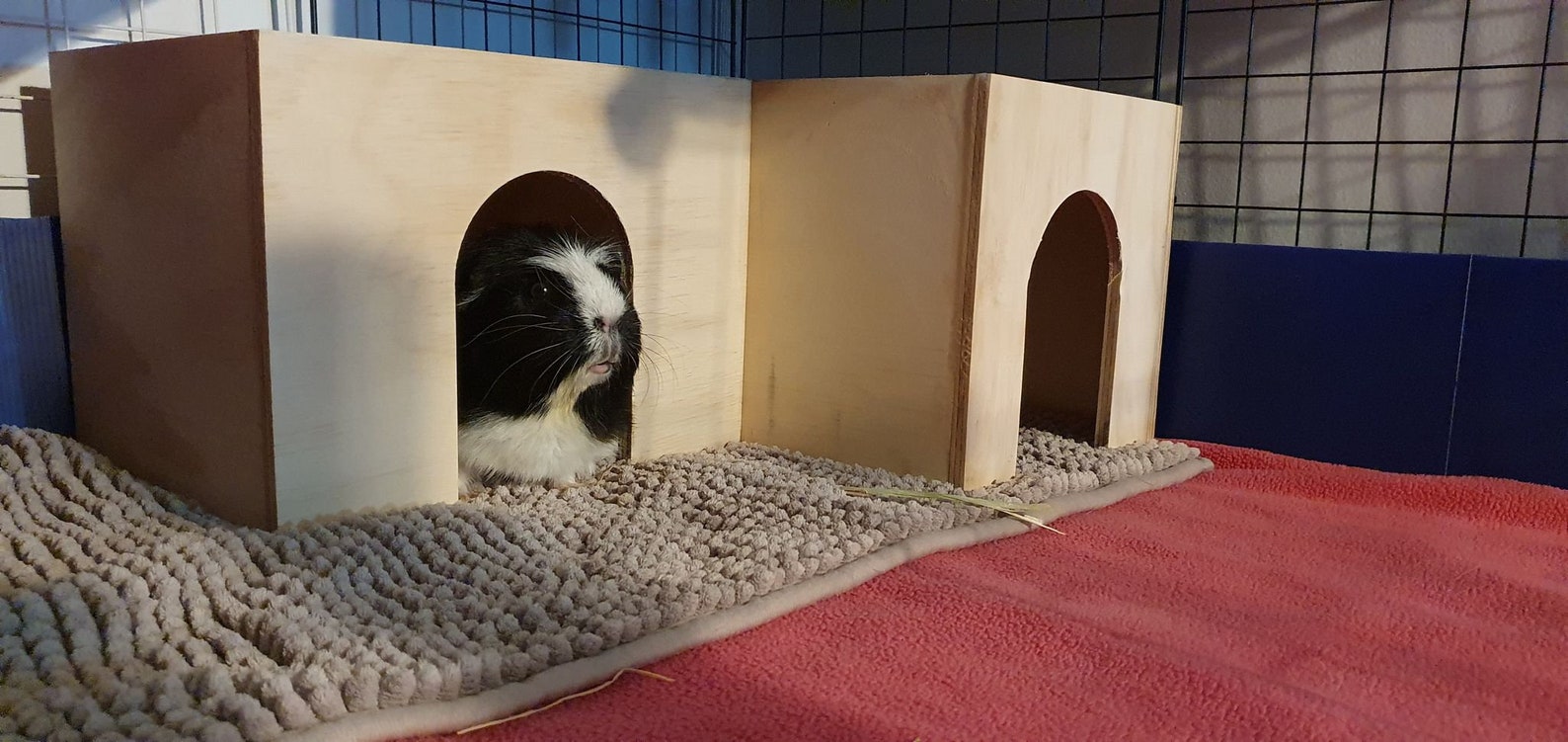 Double Entry Corner Guinea Pig Hide House Etsy