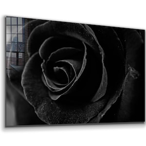 Black Rose Tempered Glass Wall Art: Modern Vivid Decor