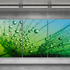 Mega Size Tempered Glass Wall Art: Dandelion Dew Drops, 3 Panel Print