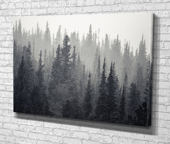Pine Trees Rocky Mountain National Park in Colorado USA - Etsy