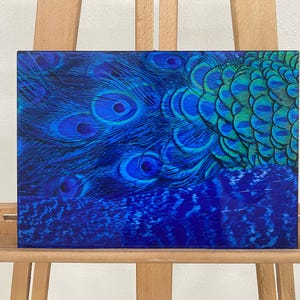 Glass Wall Art /  Acrylic Glass Art / Floating Frame Option /  Canvas Wall Decor / Gift Wall Painting/ Peacock Feathers Glass Art