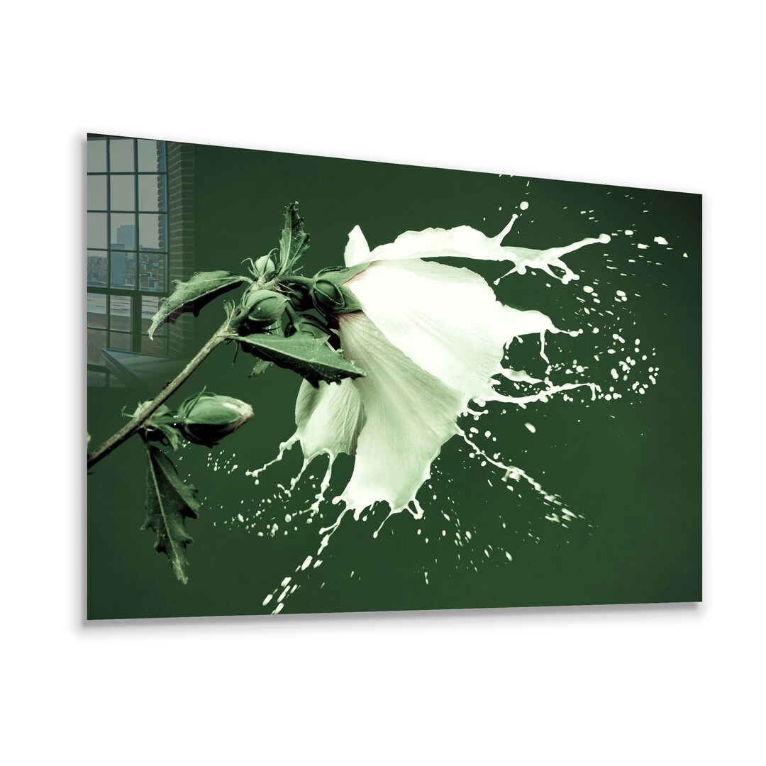 Glass Wall Art / Acrylic Glass Art / Floating Frame Option / Etsy