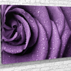 Lila Rose Leinwanddruck: Wassertropfen, extragroße Wandkunst