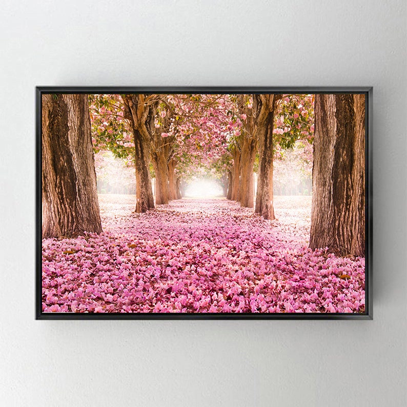Pink Cherry Blossom Tree Tunnel Canvas Print - Large Wall Art - Etsy