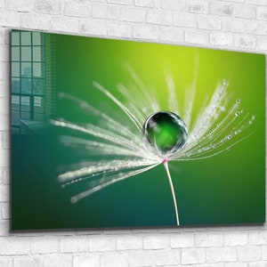 Dandelion Raindrop Tempered Glass Wall Art: Extra Large Decor