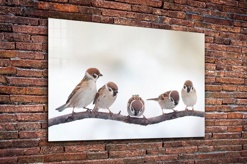 Birds Tempered Glass Printing Wall shops Art , Natural And Vivid Wall Decor , Modern Wall Art, Extra Large Wall Art