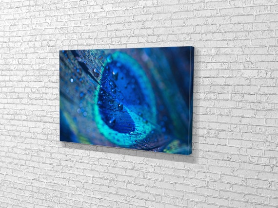 Vivid Peacock Feathers II | Large Stretched Canvas, Black Floating Frame Wall Art Print | Great Big Canvas
