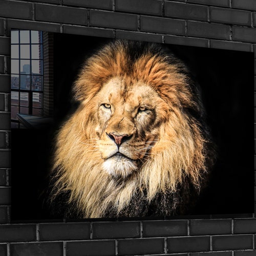 Lion Tempered Glass Printing Wall Art , Natural And Vivid Wall Decor , Modern Wall shops Art, Extra Large Wall Art