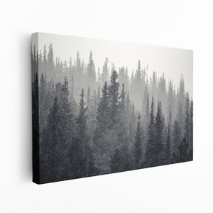 Impressão em tela de pinheiro das Montanhas Rochosas: arte de parede do Colorado
