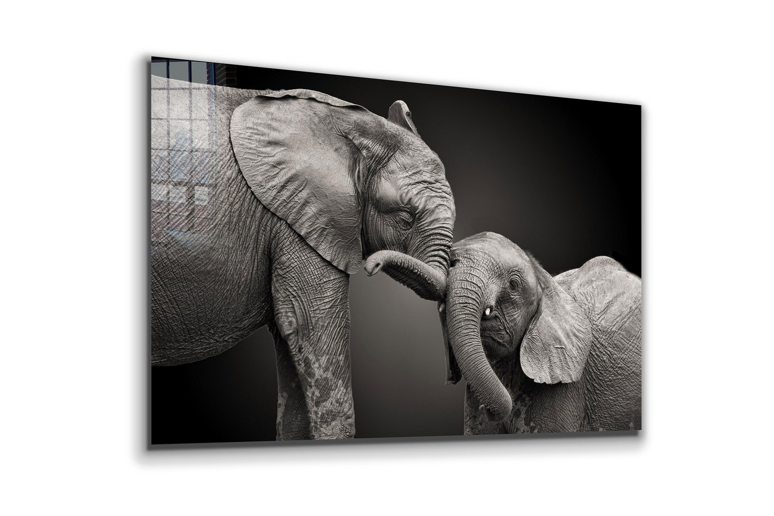 Elephant Tempered Glass Printing Wall Art Natural and Vivid Etsy