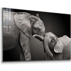 Elephant Tempered Glass Wall Art: Vivid Modern Decor