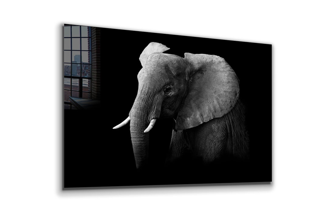 Elephant Tempered Glass Printing Wall Art , Natural and Vivid Wall