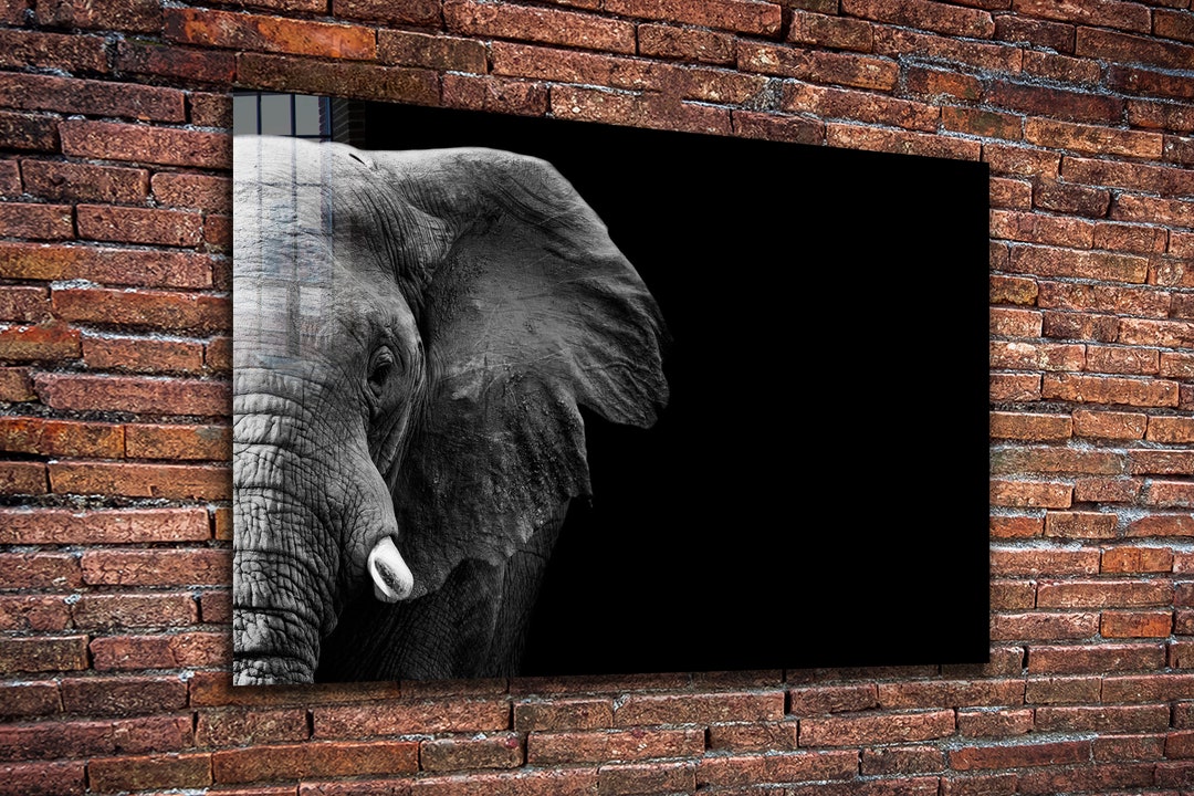 Elephant Tempered Glass Printing Wall Art Natural and Vivid Etsy