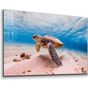 Tempered Glass Wall Art-Printing Wall Art-Natural And Vivid Wall Decor-Modern Wall Art-Extra Large Wall Art-Sea Turtle Wall Decor