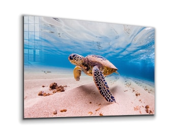 Sea Turtle Tempered Glass Wall Art: Vivid Ocean Decor