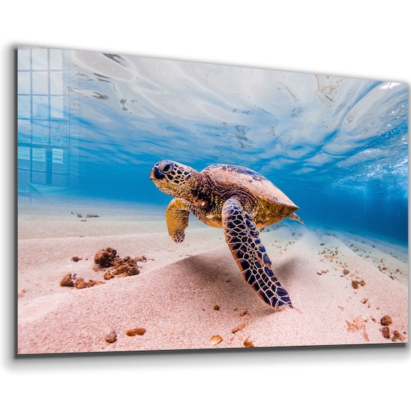 Sea Turtle Poster - Etsy